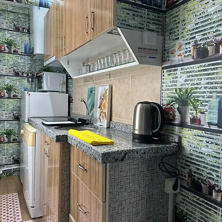Lejlighed Waw 2 Yatak Odali, Oturma Odasi, Mutfakli Istanbul